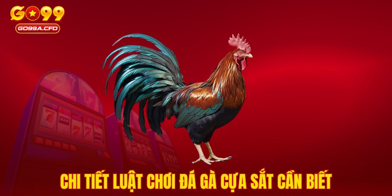 Chi tiết luật chơi đá gà cựa sắt cần biết