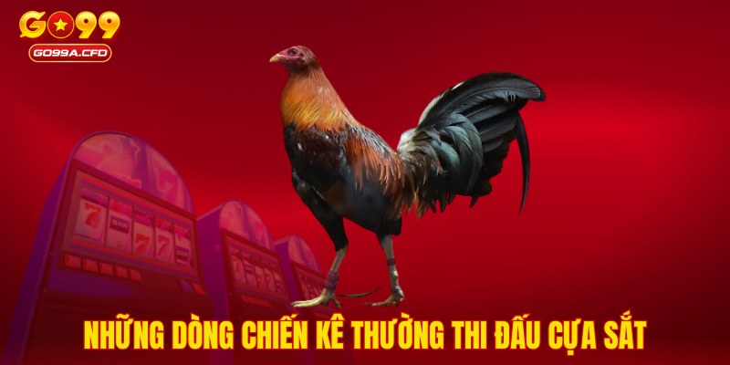 Những dòng chiến kê thường thi đấu cựa sắt