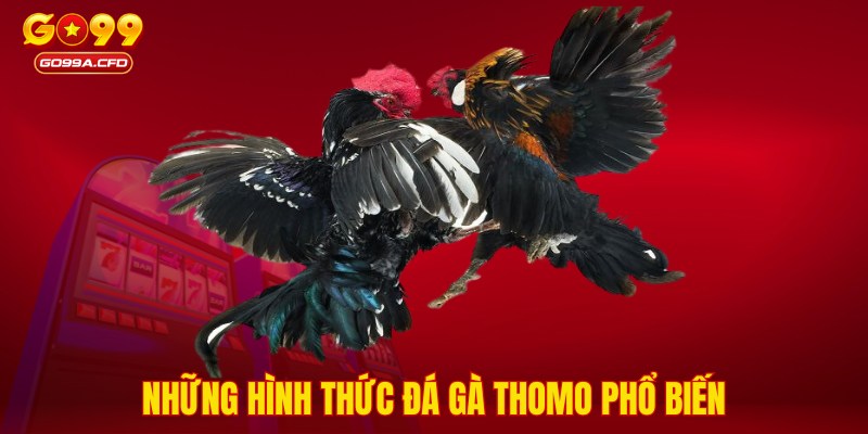 Những hình thức đá gà Thomo phổ biến